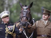 Haldalgo, representing life-saving U.S. Marine Corps horse Sgt. Reckless, is awarded the PDSA Dickin Medal beside Sgt. Mark Gostling, right, and Lt. Col. Michael Skaggs on Wednesday in London. Sgt. Reckless served with the Marines during the Korean War.