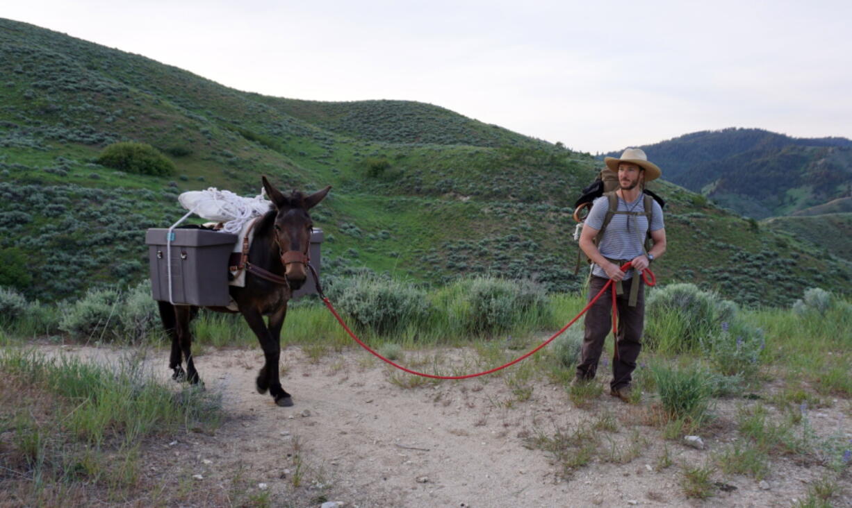 Matt Bishop and his mule, Richard, arrive Saturday morning at the spot where Bishop set up his coffee stand on the Orchard Gulch trail. "I love him," Bishop said.