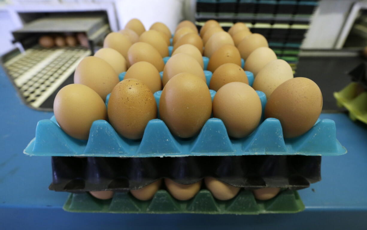 Eggs laid by cage-free chickens sit in a holder after being sorted at a farm near Waukon, Iowa. In less than a year, eggs have gone from being an expensive staple at the height of the bird flu crisis in 2015 to reaching the cheapest prices in a decade due to fully restocked poultry barns.