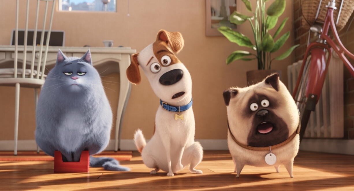 Chloe, voiced by Lake Bell, from left; Max, voiced by Louis C.K.; and Mel, voiced by Bobby Moynihan, appear in a scene from &quot;The Secret Lives of Pets.&quot; (Illumination Entertainment/ Universal Pictures)