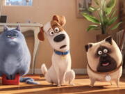 Chloe, voiced by Lake Bell, from left; Max, voiced by Louis C.K.; and Mel, voiced by Bobby Moynihan, appear in a scene from &quot;The Secret Lives of Pets.&quot; (Illumination Entertainment/ Universal Pictures)