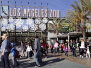 School children arrive at Los Angeles Zoo, in Los Angeles. Comedian Jeff Wysaki said on social media in June 2016 that he posted fake animal facts around the zoo.