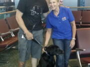 Molli Oliver, a flight attendant with United Airlines, reunites Army Staff Sgt. Derrek Green and a black Lab named Zeva in El Paso, Texas.