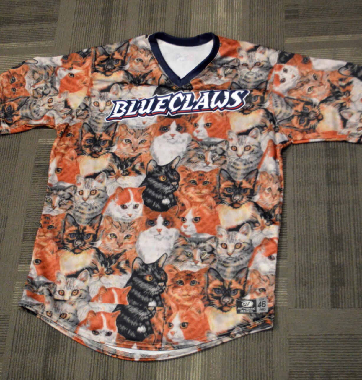 A team jersey designed with cats. The Class &quot;A&quot; Affiliate of the Philadelphia Phillies is so confident that furballs and flyballs are purrfect together they are inviting fans to bring their cats to this Saturday, July 9, 2016 game, designated CATurday, when the BlueClaws play the West Virginia Power in Lakewood, NJ.