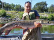 Illinois Department of Natural Resources biologist Nerissa McClelland holds an alligator gar Aug. 12, 2015, collected during a sampling survey at Powerton Lake in Powerton, Ill. Biologists are restocking alligator gar in several states where it disappeared about a half-century ago, partly in the hope that it will be a powerful weapon against Asian carp.