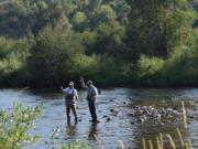 Men are seen fly fishing Aug. 19, 2015, on the Yampa River near downtown Steamboat Springs, Colo. Steamboat Springs is known as a skier&#039;s haven with &quot;Champagne powder&quot; snow, but there&#039;s plenty to do here in summer, too.