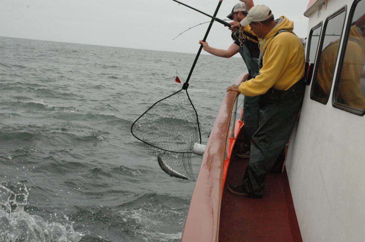 Coastal anglers took 15 percent of their coho quota in the first 10 days of the season.