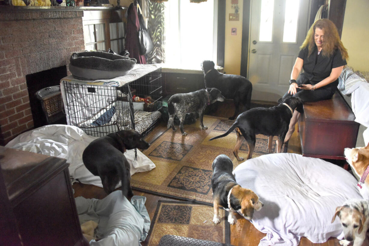 Darla Poole-Brescie is surrounded by her dogs and their crates and beds. The crate doors are always left open for easy access.