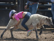 While it was her first time competing, Suhana Gandhi, 5, of Vancouver finished with one of the fastest 15 times in Wednesday&#039;s Mutton Bustin&#039; event at the Clark County Fair.