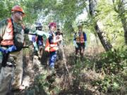 George Pollock, left, a StreamTeam volunteer, points out invasive Japanese knotweed during an eradication event at Salmon Creek Regional Park on Thursday.