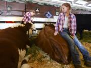 Ten-year-olds Amelia Brown, left, and Makenna Currier brush their Hereford steers, Rocky, left, and Chevy, in preparation for the 4-H beef fitting and showing competition Thursday at the Clark County Fair. The friends do 4-H together with 4-H Club Beef Master in Ridgefield.