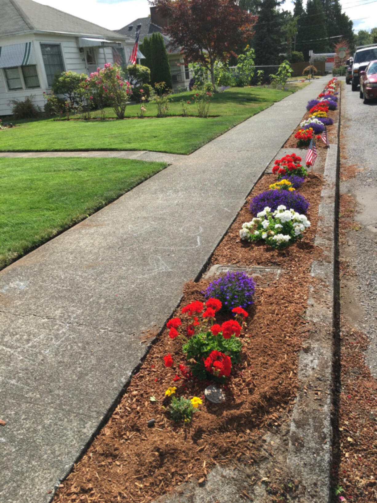 Lincoln: Flowers planted by Richard Hanley along Northwest 41st Street, which he&#039;s been doing for 20 years to make his neighborhood prettier.