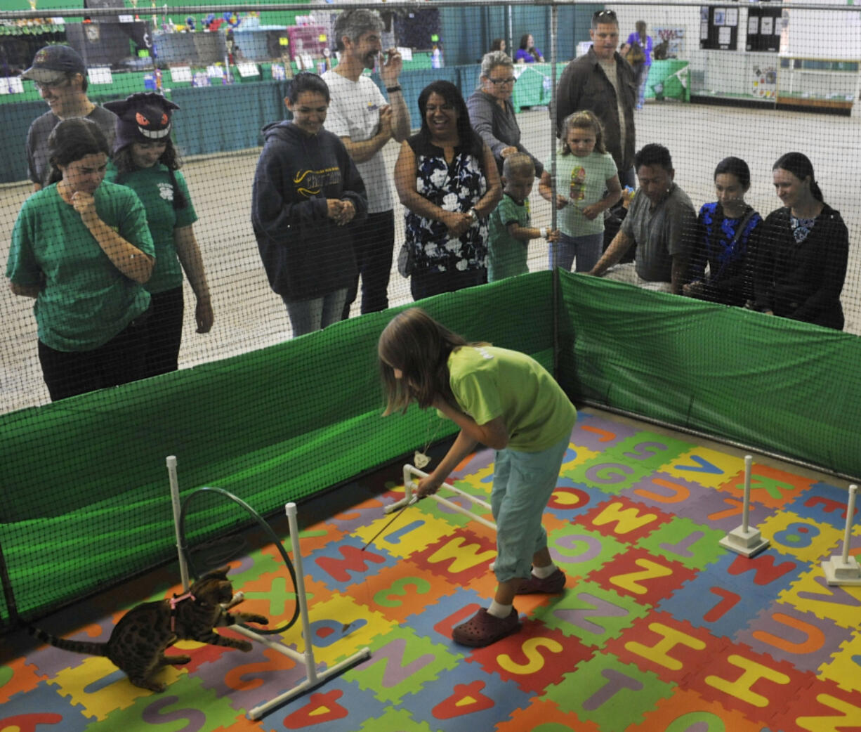 Heather Christenson leads Star through a 4-H cat agility course Sunday at the Clark County Fair. The 10-year-old has a long family history in 4-H. Her great-grandfather showed dairy cows.