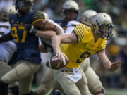 Quarterback Dakota Prukop scrambles with the football during the Oregon Spring Game in Eugene, Ore. He was named the Ducks' starting quarterback on Friday, Aug. 26, 2017.