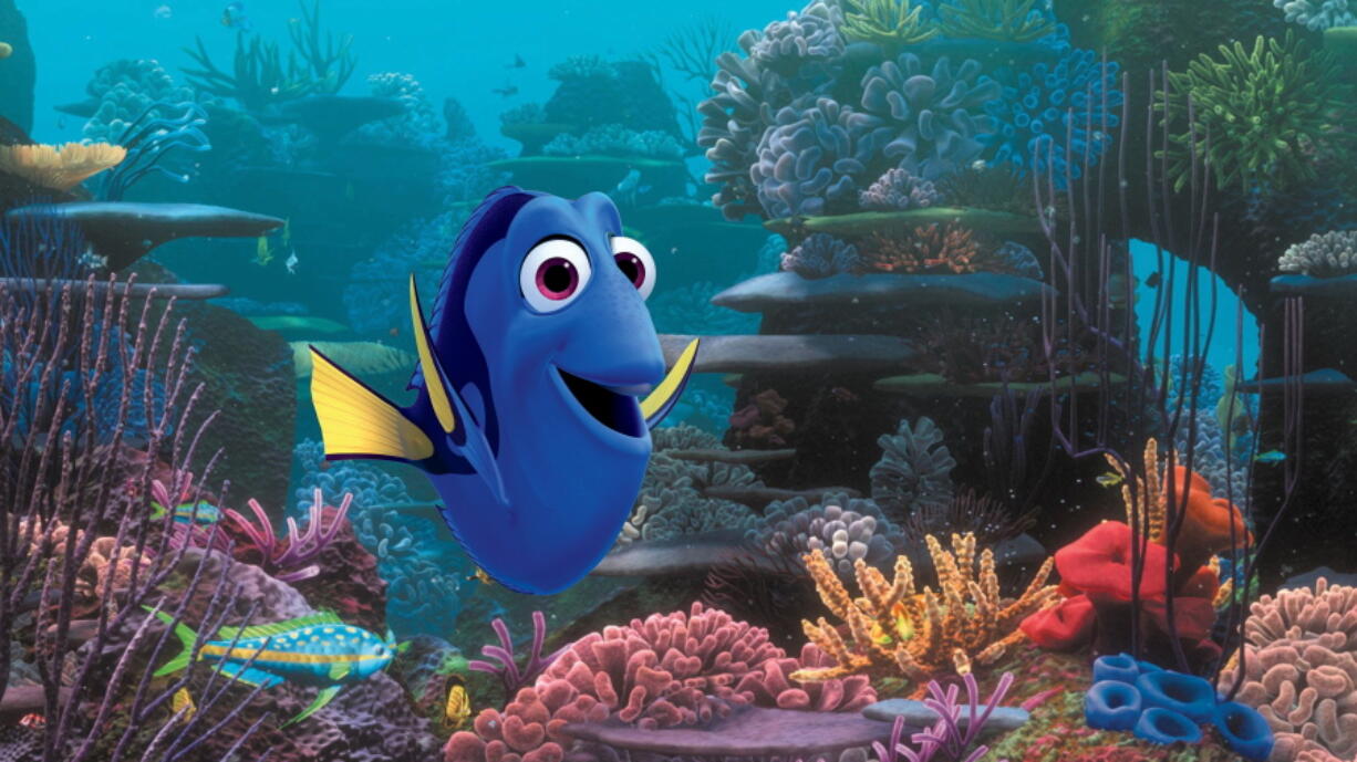 This undated file image released by Disney shows the character Dory, voiced by Ellen DeGeneres, in a scene from &quot;Finding Dory.&quot; In a statement Tuesday, July 19, 2016, researchers at the University of Florida Tropical Aquaculture Laboratory said they had successfully bred Pacific blue tangs in captivity for the first time.