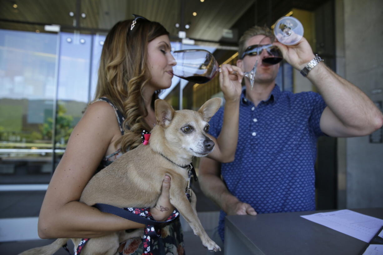 Chris and Melissa Kassel, of Sunnyvale, Calif., do a tasting with their dog, Buttercup, on July 5 at HALL Wines in St. Helena, Calif. A number of Napa Valley wineries allow dogs in the tasting rooms.