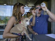 Chris and Melissa Kassel, of Sunnyvale, Calif., do a tasting with their dog, Buttercup, on July 5 at HALL Wines in St. Helena, Calif. A number of Napa Valley wineries allow dogs in the tasting rooms.