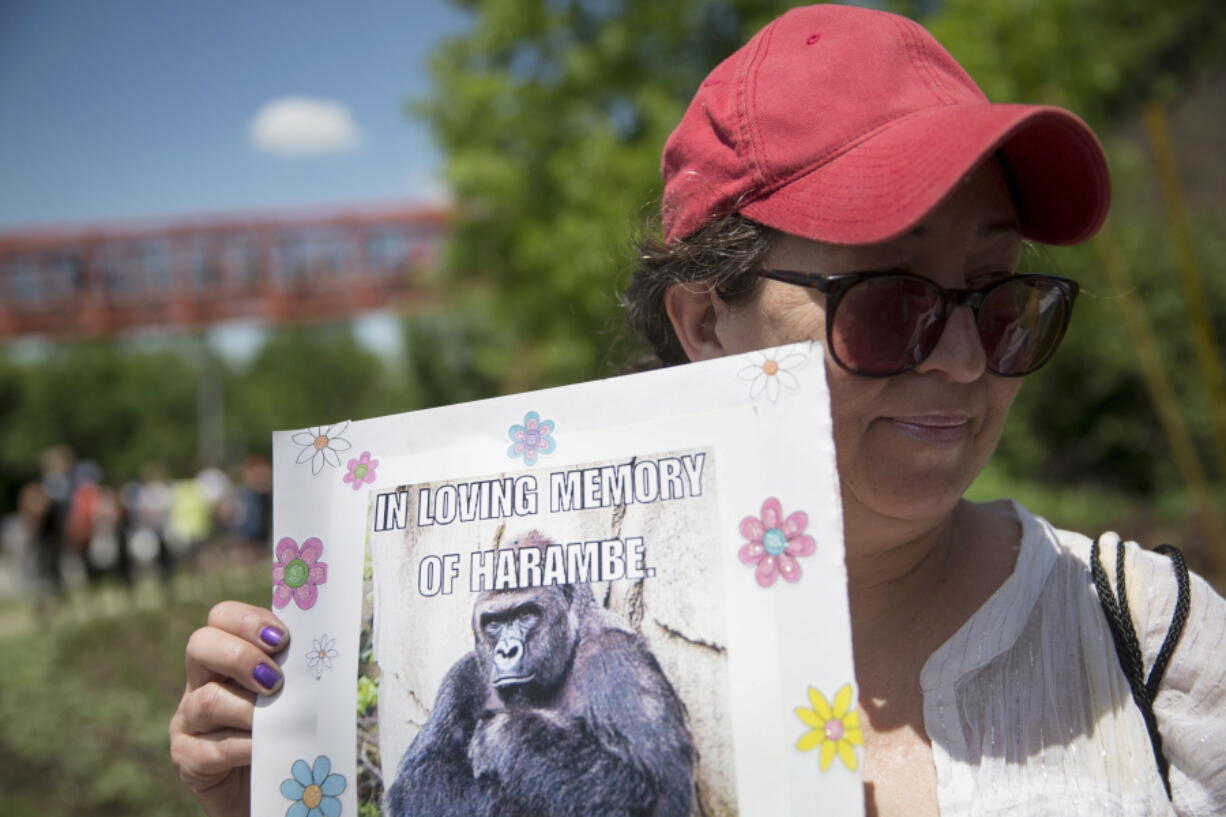 Alesia Buttrey, of Cincinnati, holds a sign with a picture of the gorilla Harambe during a May vigil in his honor outside the Cincinnati Zoo &amp; Botanical Garden, in Cincinnati.