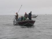 Anglers in the Buoy 10 salmon season averaged a fish per 13 rods in the first week, according to sampling by the Washington Department of Fish and Wildlife.