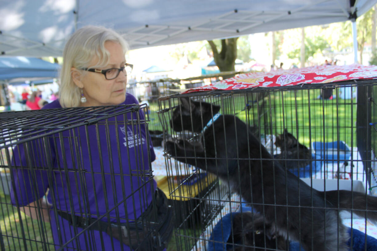 Esther Short: Sandi Long coordinated the Furry Friends booth at the Peace and Justice Fair, where the Vancouver-based cat shelter raised more than $500 to renovate a new shelter and put locator microchips in cats and dogs.