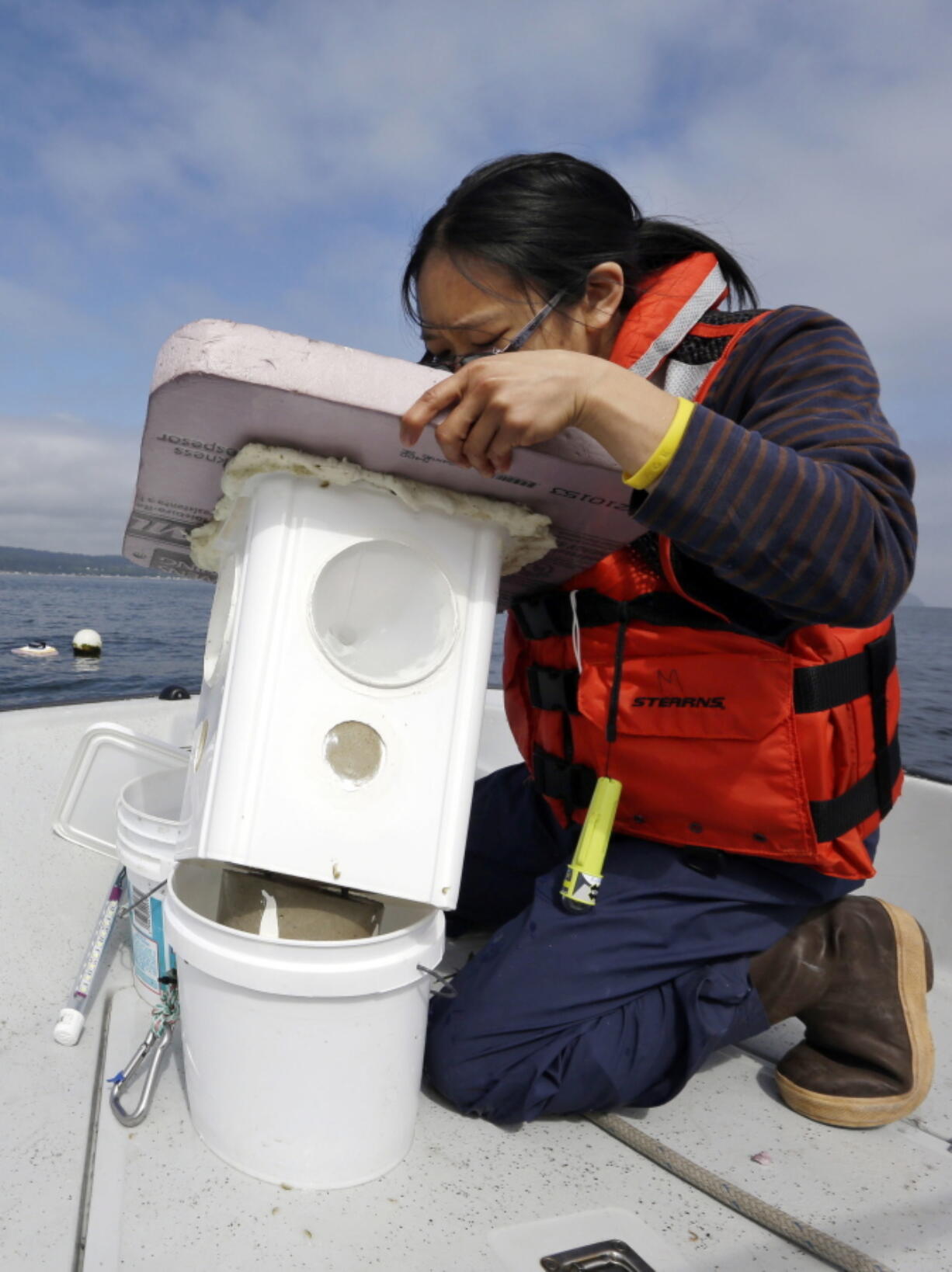 Audrey Djunaedi, a lab technician with NOAA&#039;s Northwest Fisheries Science Center, looks into a light-catching trap set out the day before to collect Dungeness crab larvae in the marine waters outside of the center&#039;s station in Mukilteo, Wash., on July 26, 2016. As marine waters continue to absorb more atmospheric carbon dioxide, federal scientists are worried that the changing ocean chemistry may put Northwest Dungeness crabs at risk.