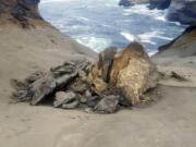 This undated photo provided by State of Oregon, Oregon Parks and Recreation Department shows a natural rock formation that was found in pieces last week at Cape Kiwanda State Natural Area  which is a state park in Pacific City, Ore. The sandstone pedestal was roughly 7 feet to 10 feet across and located in a fenced off section of the park. Oregon State Parks officials originally said they did not think the break at the site frequented by tourists was caused by humans but cellphone video captured a group of people knocking over the popular sandstone rock formation known as the "Duckbill" on the Oregon beach.