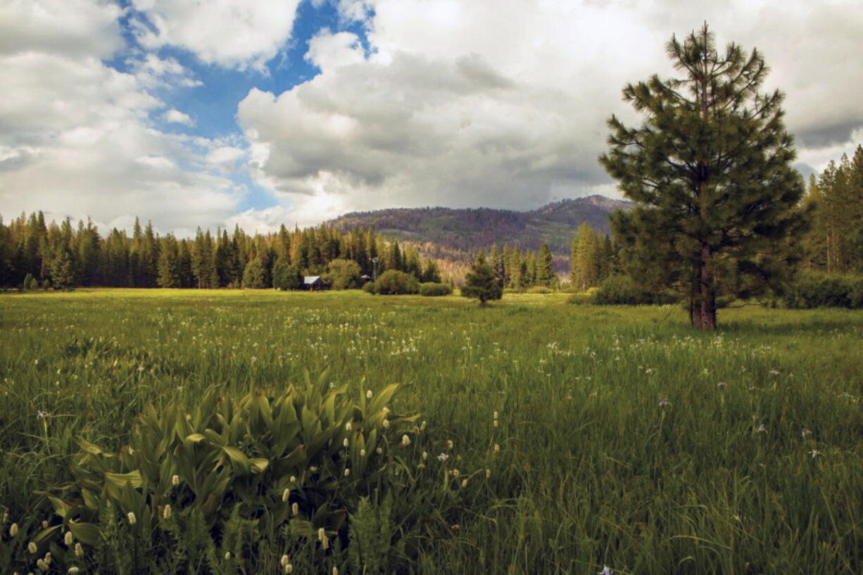 Yosemite National Park&#039;s western boundary has expanded to include Ackerson Meadow, 400 acres of tree-covered Sierra Nevada foothills, grassland and a creek.