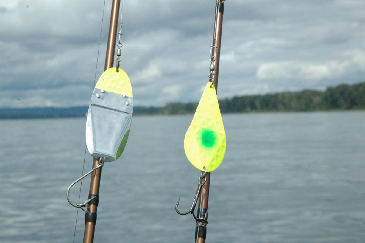 Alvins, Simons and other wobblers will catch fall chinook salmon trolling on incoming tides, too.