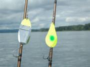 Alvins, Simons and other wobblers will catch fall chinook salmon trolling on incoming tides, too.