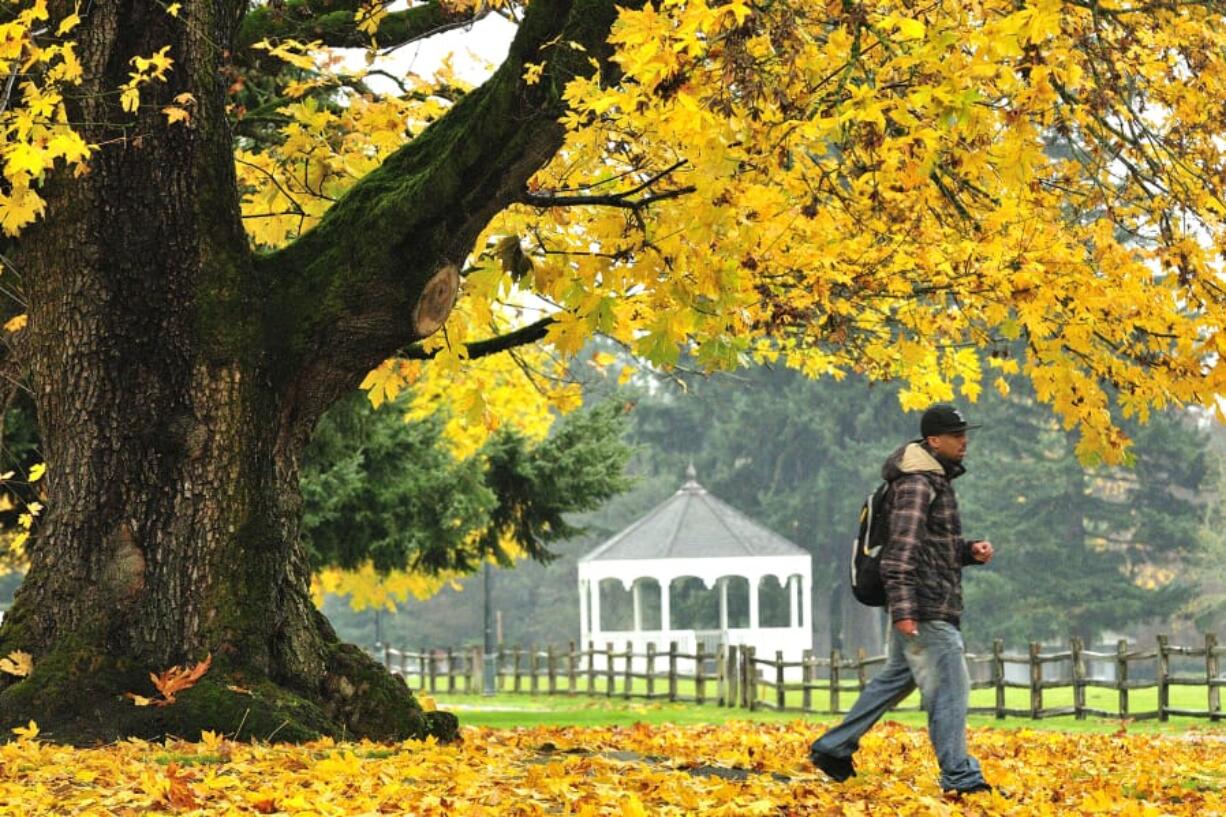 Mature trees line Officers Row in Vancouver.