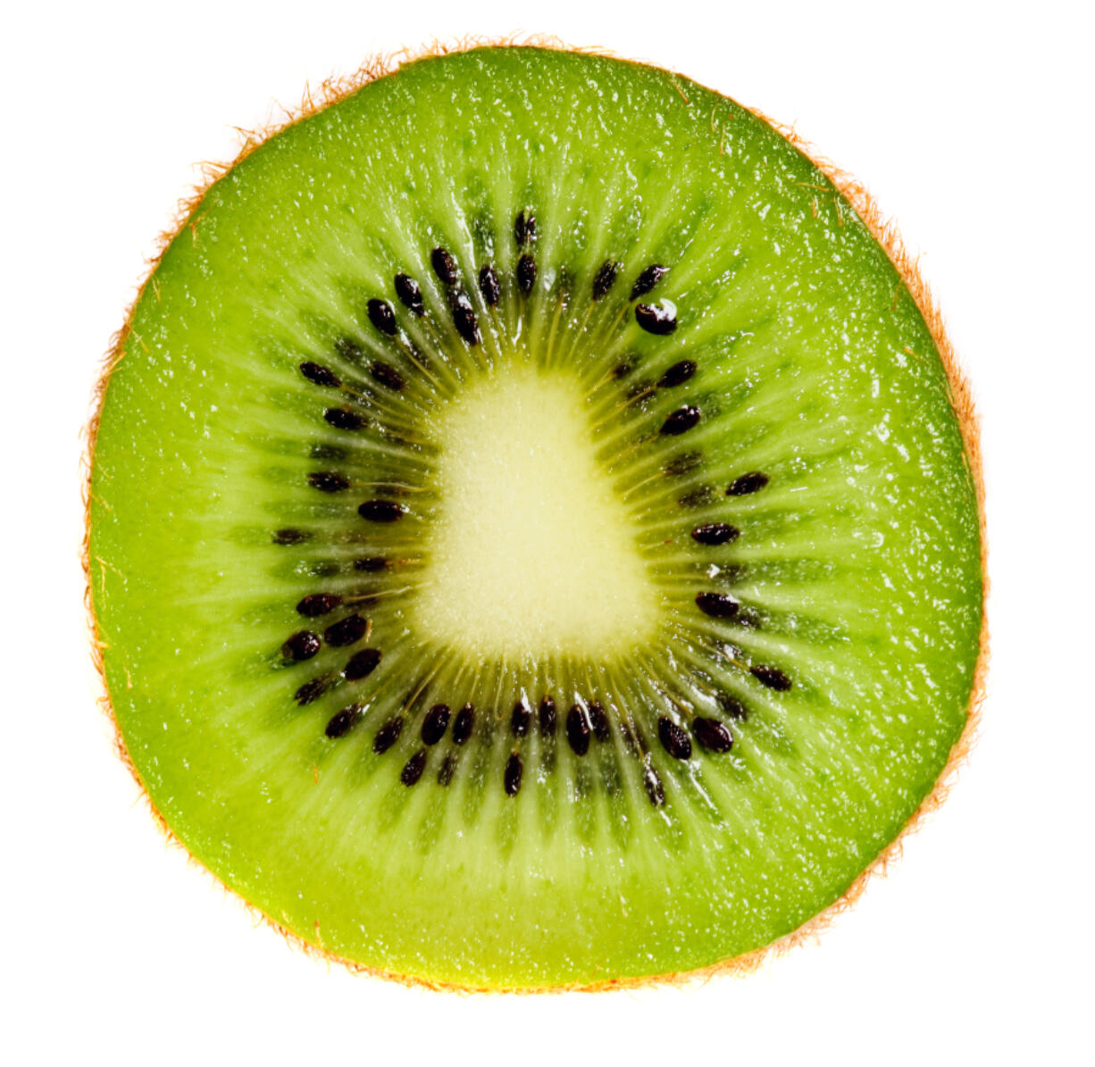 The kiwifruit was named to honor New Zealand&#039;s national bird.