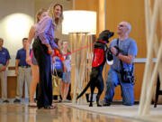 Pam Cook holds on to the leash as Sandy, the new canine concierge at the Harbor Beach Marriott Hotel, greets guest Howard Rudolph in the lobby on Sept. 16 in Ft. Lauderdale, Fla.