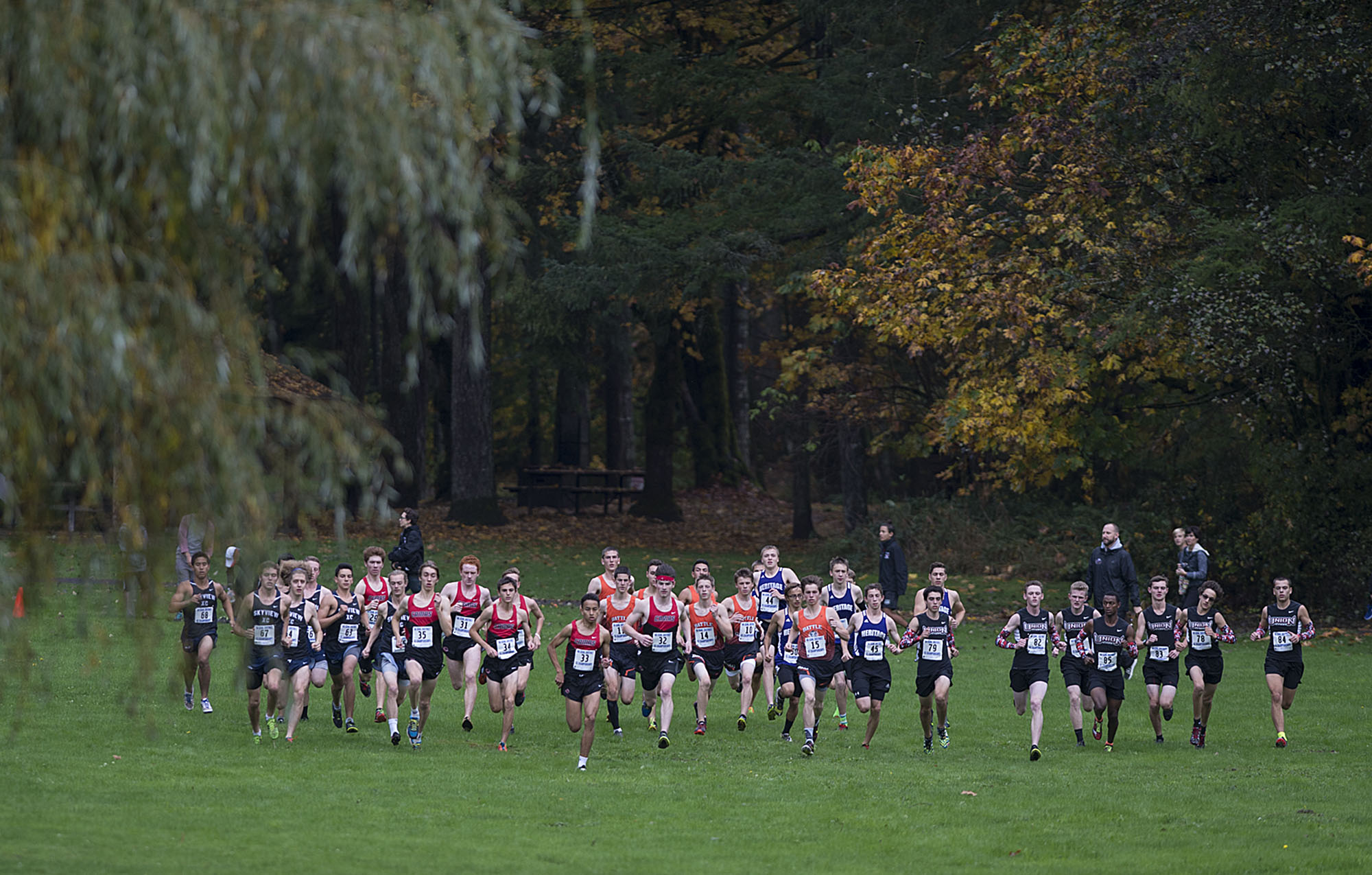 Fall colors provide a scenic backdrop for runners in the boys race at Lewisville Park on Thursday afternoon, Oct. 20, 2016.