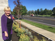 Jacquie Simonds stands in front of a new brewery on Mill Plan Boulevard. &quot;It&#039;s quite a nice building, but we get to see the garbage bin as we drive by,&quot; Simonds said. Simonds is worried about the design aesthetic of the city.