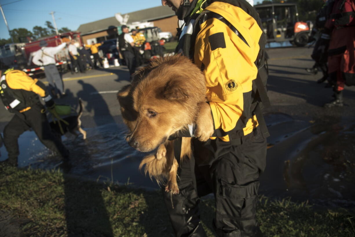 A swiftwater rescue team member Monday holds a dog that was rescued from floodwaters caused by rain from Hurricane Matthew in Lumberton, N.C.