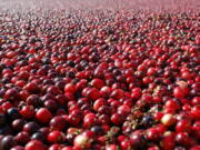 According to a study in the Journal of the American Medical Association, cranberry capsules didn&#039;t prevent or cure urinary infections in nursing home residents. The research adds to decades of conflicting evidence on whether cranberries in any form can prevent extremely common bacterial infections.