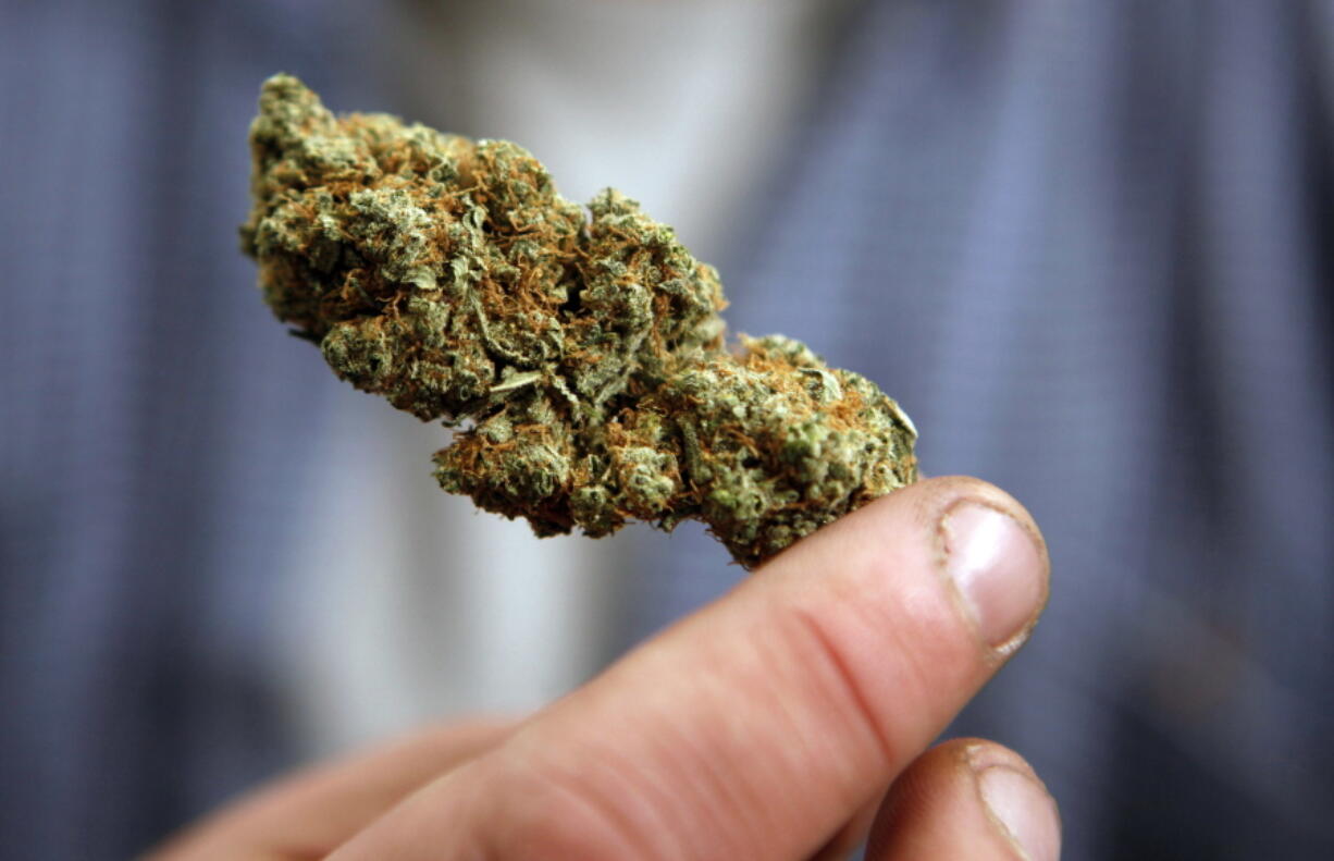 A bud of legally grown marijuana is held by a cancer patient in Portland, Maine.