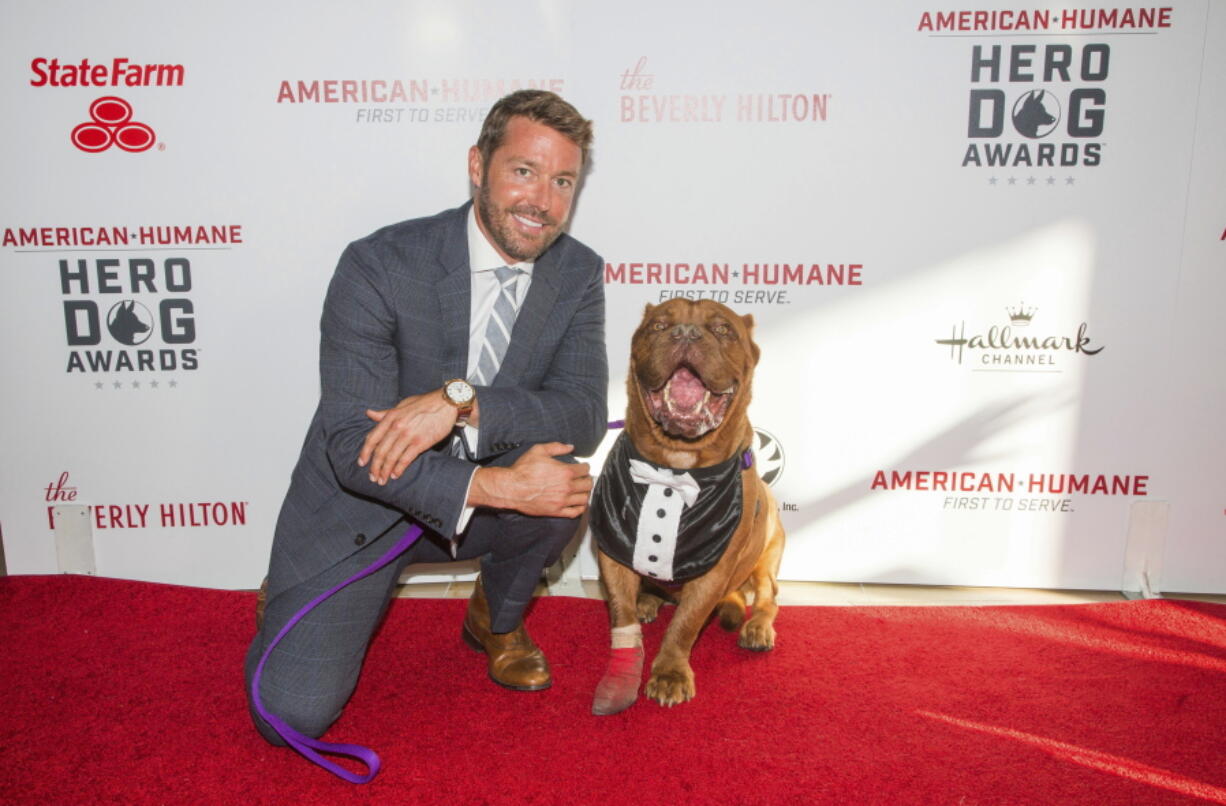 Zach Skow poses with his French mastiff Hooch on the red carpet at the 2016 American Humane Association&#039;s Hero Dog of the Year event in Beverly Hills, Calif. Hooch will be honored as Hero Dog of 2016 on the Hallmark Channel.