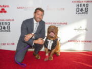 Zach Skow poses with his French mastiff Hooch on the red carpet at the 2016 American Humane Association&#039;s Hero Dog of the Year event in Beverly Hills, Calif. Hooch will be honored as Hero Dog of 2016 on the Hallmark Channel.