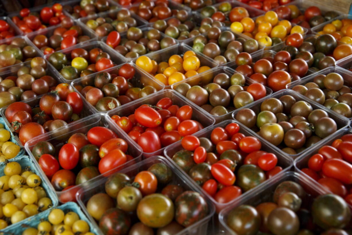 This Saturday, Aug. 1, 2015 photo shows a variety of miniature tomatoes displayed for sale at a farmers market in Falls Church, Va. Cooling tomatoes below 54 degrees stops them from making some of the substances that contribute to their taste, say researchers. That robs the fruit of flavor, whether it happens in a home refrigerator or in cold storage before the produce reaches the grocery shelf, according to a report released Monday, Oct. 17, 2016, by the Proceedings of the National Academy of Sciences. (AP Photo/J.