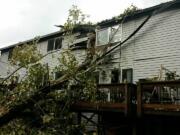 Gusty winds brought a cottonwood tree down into the side of the Whipple Creek Village apartment complex north of Vancouver on Saturday afternoon. No one was injured.