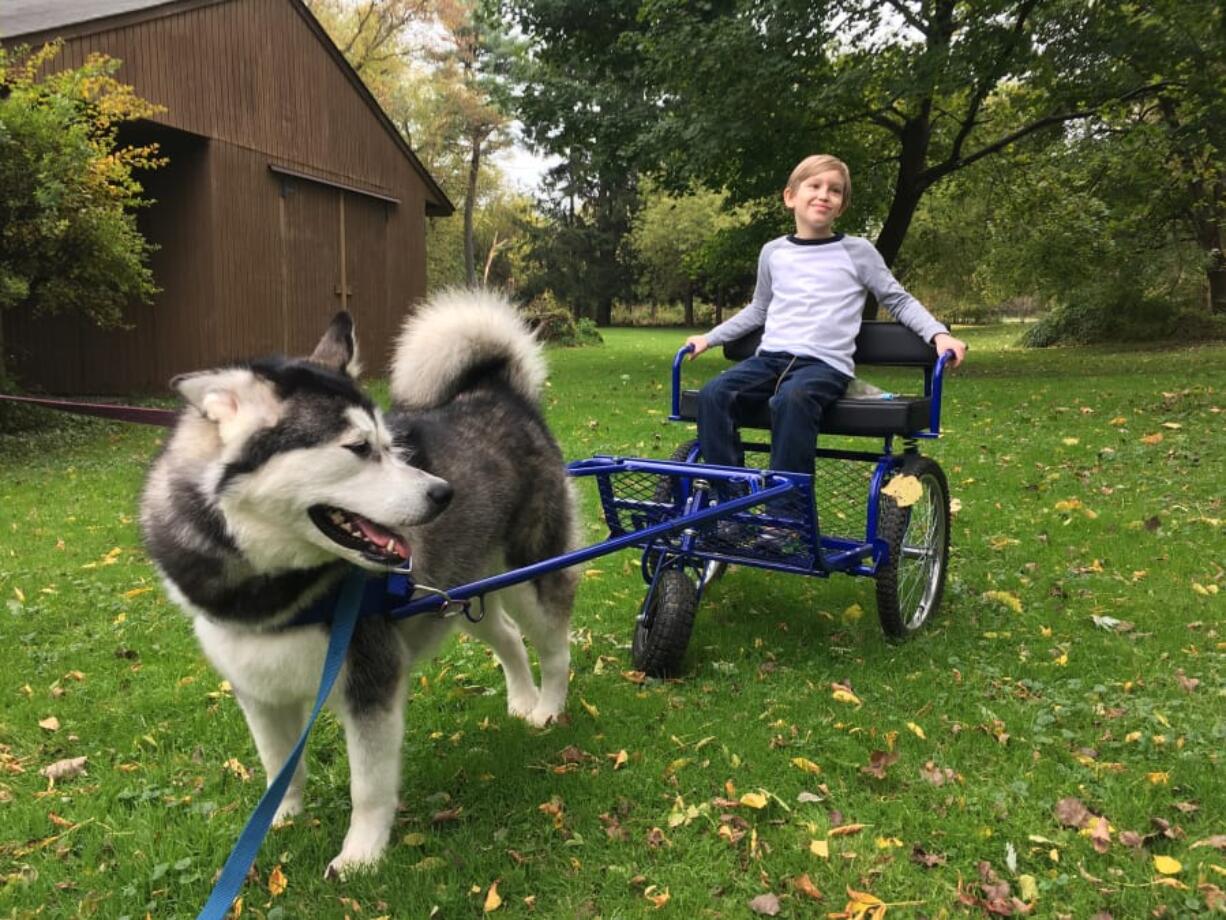 Ian Dustan prepares to go for a dog-sled ride.