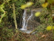 A small waterfall is seen from a trail at Paradise Point State Park, near the La Center exit from Interstate 5.