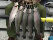 The trout stocked for Black Friday fishing average 1.25 pounds.