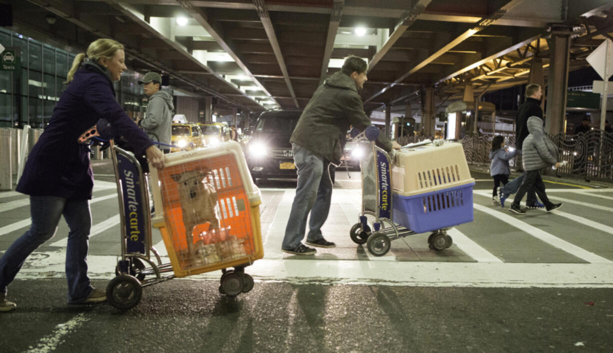 Melissa McClellan, left and Matt Niederberger of Posh Pets Rescue, Long Beach, N.Y., cart Max and Brandy, feral rescue dogs, to the car from arrivals at JFK International Airport in Queens, N.Y. Max and Brandy are two of five rescue dogs who arrived from Thailand and will be adopted by American families.