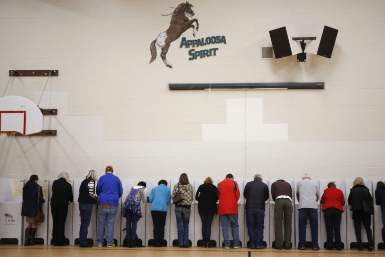 Voters cast their ballots at Cynthia Mann Elementary School in Boise, Idaho, on Tuesday, Nov. 8, 2016.