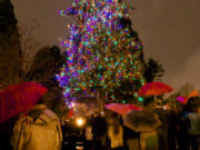 The Vancouver community Christmas tree glows after the annual lighting ceremony at Esther Short Park.