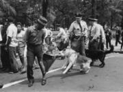 Harry Shambry looks back as a police dog, held by an officer with a billy club, tears his trouser leg during a civil rights march in Birmingham, Ala., on May 3, 1963. Police officers used both dogs and firehoses to break up the non-violent demonstration. Shambry, an Alabama native who moved to the Northwest in 1968, died in 2011.