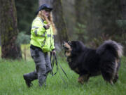 Brenda Wilson, training officer for Evergreen Search Dogs, and her Tibetan mastif, Dusty, demonstrate how to search for human remains Saturday at a training exercise in Battle Ground.