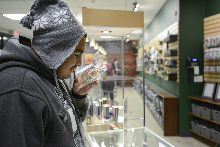 Eloy Cesillos Silva smells the cookies and cream marijuana strain at The Herbery in Vancouver on Nov. 21.